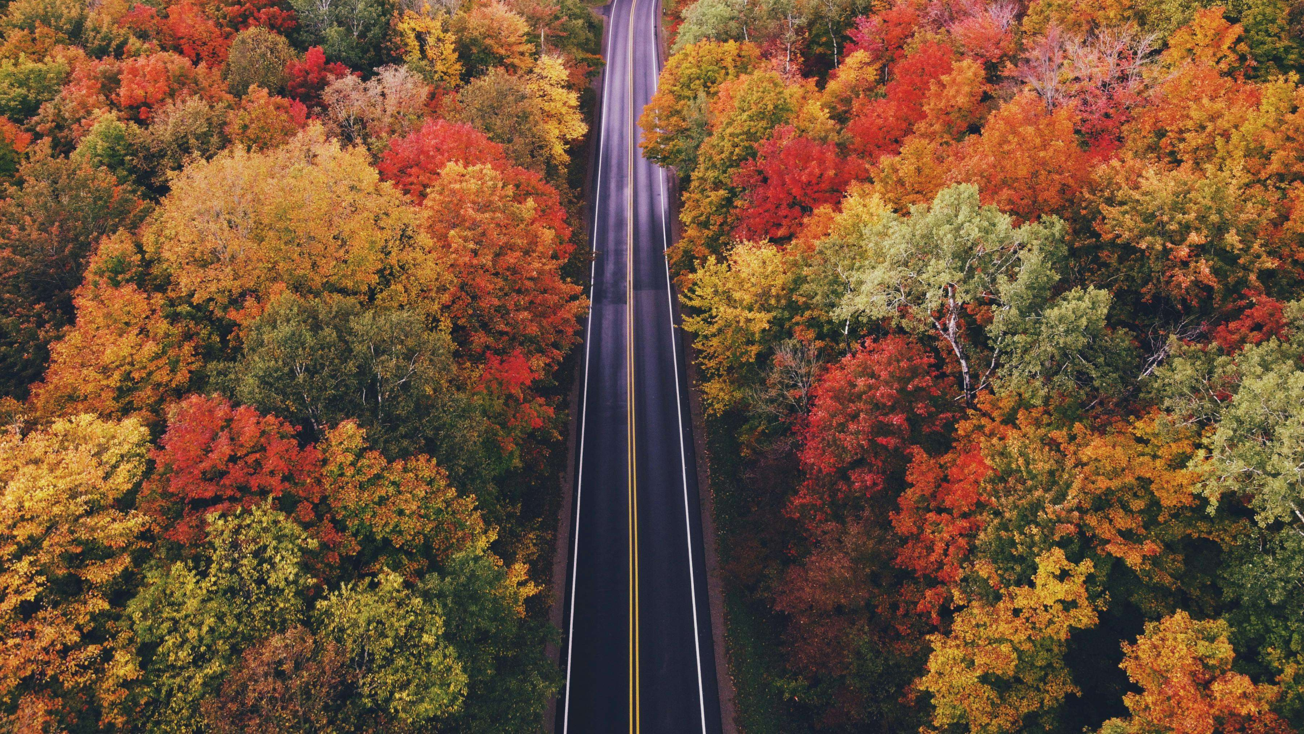 Featured image for blog post titled "Michigan Weekend Trips by Season: Year-Round Escapes"