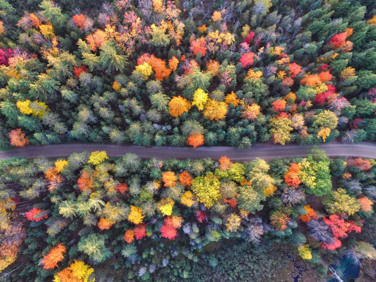 Featured image for blog post titled "Hidden Gems in Southwest Michigan: 12 Must-Visit Spots"